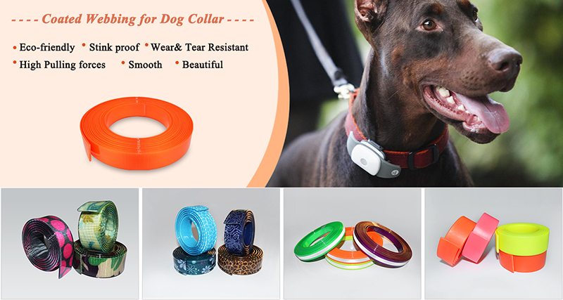 pvc coated nylon webbing for dog collar