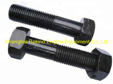 Cummins KTA19 Flywheel bolt 206354