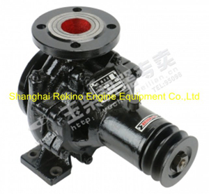 Yuchai engine parts sea water pump C3300-1315100