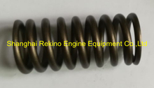 CCEC Cummins engine parts NT855 valve spring 211999