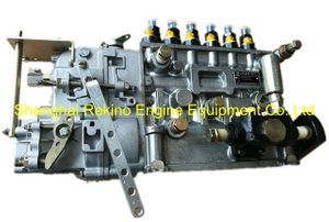 5B62 BHT6B120R Longbeng fuel injection pump for Weichai WD615