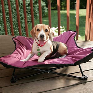 Metal Pet Bed Bone Lounger Dog Camping Bed