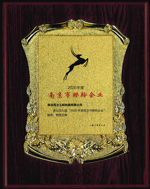 像瞪羚一样，快速奔跑|高立装备成功入选2020南京市瞪羚企业