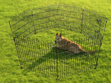 Pet Wire Playpen with Six Panels