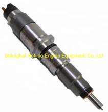 0445120063 Weichai WD10 fuel injector