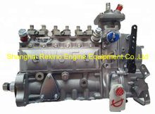 3913902 4996844 6A106P 6A106P-9.5 Weifu fuel injection pump for Cummins 6BTA5.9-C160