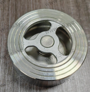 Stainless Steel Wafer Type Check Valves3