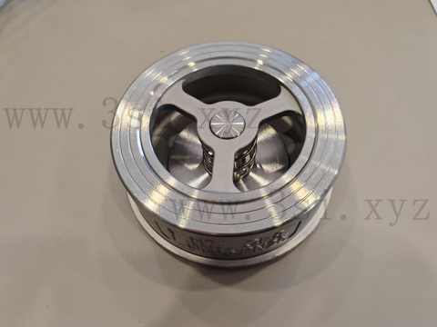 Stainless Steel Wafer Type Check Valves9