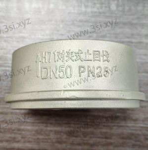Stainless Steel Wafer Type Check Valves4