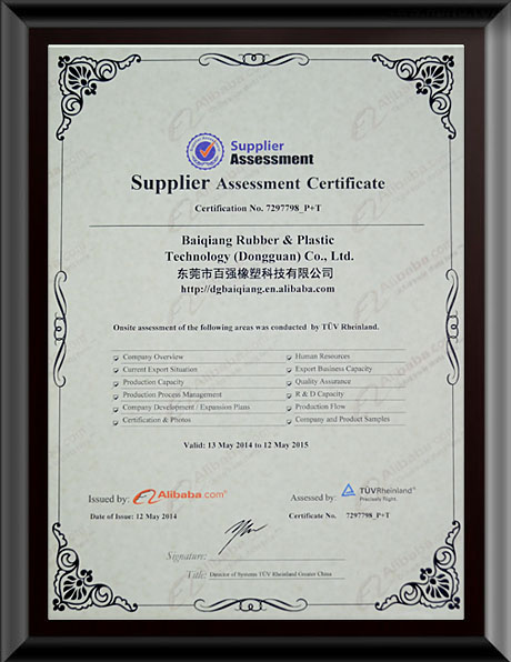 百强已通过-德国莱茵（TUV）权威认证