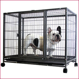 Heavy Duty Metal Dog Cage Kennel with 4 Wheels