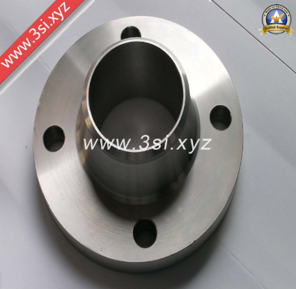 Ss Welding Neck Flanges