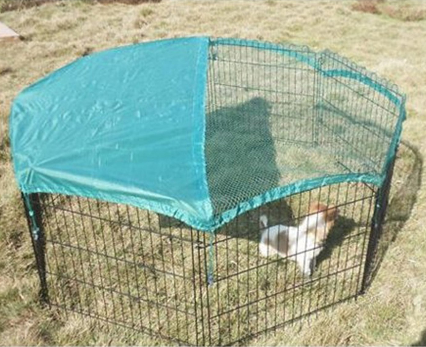 Dog Enclosure Pet Metal Playpen with Cover