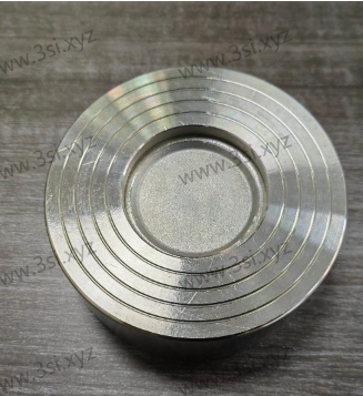 Stainless Steel Wafer Type Check Valves2