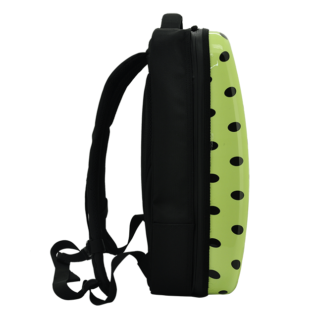 Polyester Student backpack