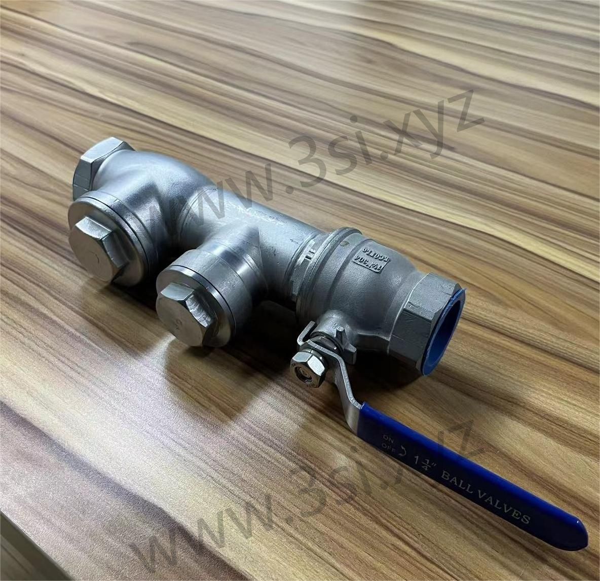 Pipe Fitting with Weld Check Valve