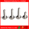 Phillips Truss Head Self-Tapping Screw in Stainless Steel 304