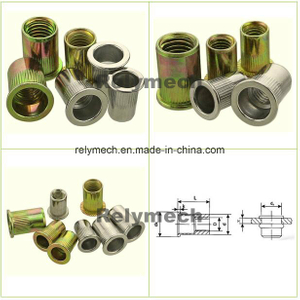 Carbon Steel Zinc Plated Rivet Nut/Hex Nut/Cage Nut/Keps Nut/Hex Flange Nut