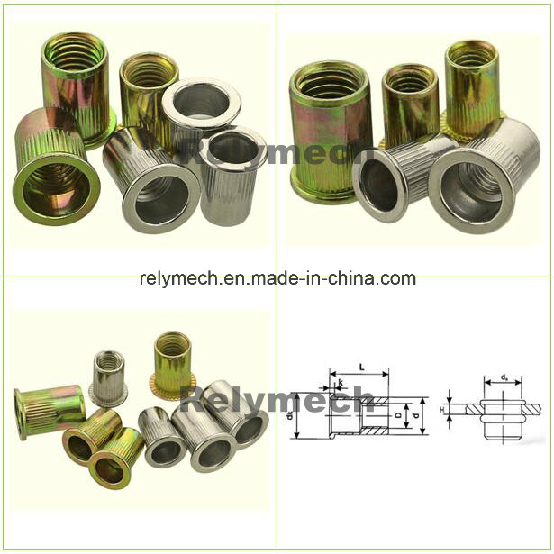 Carbon Steel Zinc Plated Rivet Nut/Hex Nut/Cage Nut/Keps Nut/Hex Flange Nut