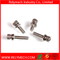 Cup Head Hex Head Combination Screw/ Sem Screw with Washer in SUS304