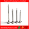 Self Drilling Screw Hex Flange Head Screw with Washer