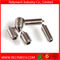 Hex Socket Head Set Screw with Cone Point in Stainless Steel 304