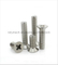 Fastener Stainless Steel Countersunk Phillip Head Screw/Flat Head Screw M4-M6