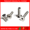 Hex Bolt Hex Socket Bolt Carriage Bolt with Pan Head
