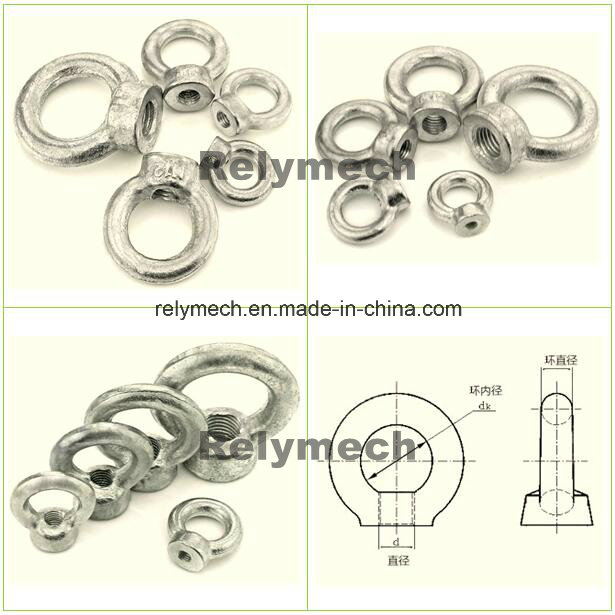 Stainless Steel/Forged Galvanized Eyenut/Eye Nut