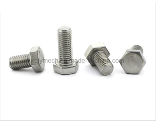 Stainless Steel 304 Hexagon Cap Screw/Hexagon Bolt M10