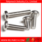 Plum Flower Head Pan Head Machine Screw in Stainless Steel 304