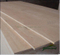 commercial plywood with okume film 
