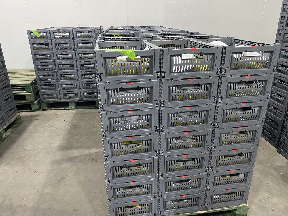 Cajas de plástico apilables para frutas y verduras.