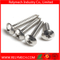 Phillips Truss Head Self-Tapping Screw in Stainless Steel 304
