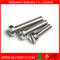Expansion Screw/ Hex Socket Head Set Screw/Countersunk Plum Flower Machine Screw