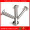 Phillips Truss Head Self-Tapping Screw in Stainless Steel 304