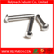 Mushroom Head Round Head Solid Rivet in Stainless Steel