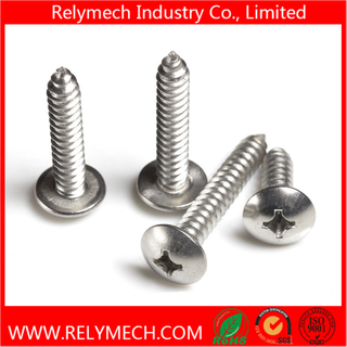 Phillips Truss Head Self-Tapping Screw in Stainless Steel 304