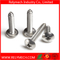 Phillips Truss Head Self-Tapping Screw in Stainless Steel 304