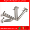 Phillips Truss Head Self-Tapping Screw in Stainless Steel 304