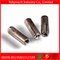 Stainless Steel Drop in Expansion Anchor Bolt
