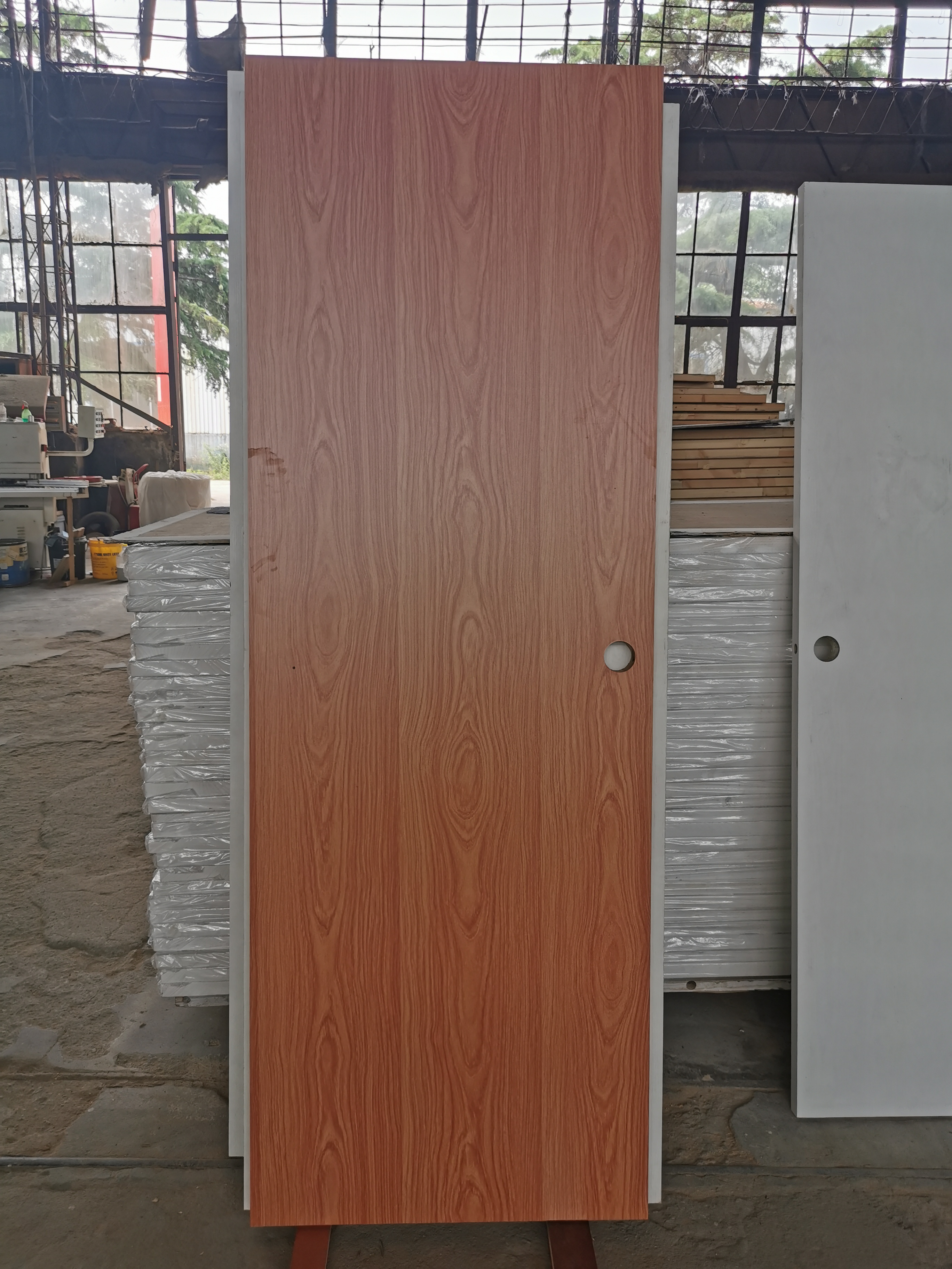 inter wooden doors with MDF door skins