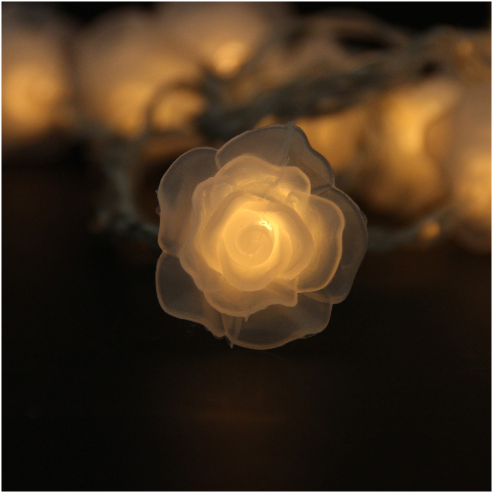 10 Simulation Pink Rose LED Battery Light String Flower Christmas Light from China manufacturer ...