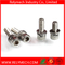 Cup Head Hex Head Combination Screw/ Sem Screw with Washer in SUS304