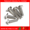 Phillips Truss Head/ Mushroom Head Machine Screw in Stainless Steel 304