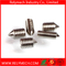 Expansion Screw/ Hex Socket Head Set Screw/Countersunk Plum Flower Machine Screw
