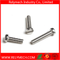 Slotted Cheese Head Machine Screw in Stainless Steel 304
