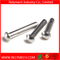 Mushroom Head Round Head Solid Rivet in Stainless Steel