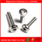 Plum Flower Head Pan Head Machine Screw in Stainless Steel 304