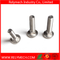 Stainless Steel Carriage Bolt Mushroom Head Square Neck Bolt